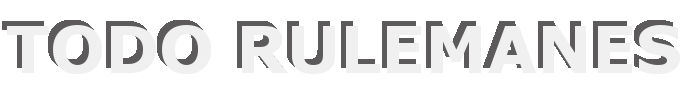 Logo Todo Rulemanes